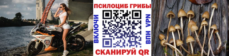 нарко площадка телеграм  Лаишево  Галлюциногенные грибы GOLDEN TEACHER 